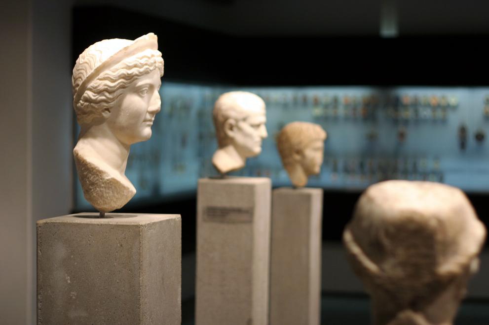 Photo of busts in the ancient art collection