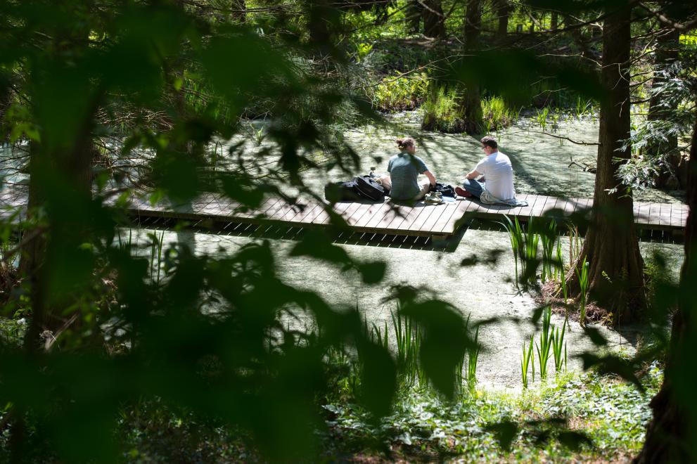 Two people sit on a footbridge over water in the green Botanic Garden.