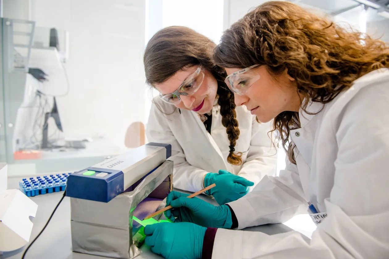 Organische Chemie Lösungsmittelchemie