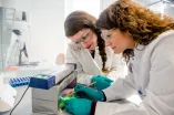 Organische Chemie Lösungsmittelchemie