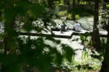 Zwei Personen sitzen auf einem Steg über Wasser im grünen Botanischen Garten.