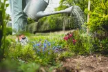 Foto: Es sind zwei Beine zu sehen sowie eine Gießkanne, mit der gerade ein Blumenbeet gegossen wird.