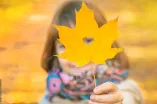 Das Bild zeigt scharf im Vordergrund ein Herbstblatt, aus dem ein Herzförmiges Loch herausgerissen worden ist. Durch dieses schaut ein Kind, das unscharf im Hintergrund zu sehen ist und das Blatt in die Kamera hält.