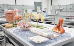 Labortisch mit 3D Modellen