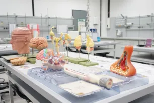 Labortisch mit 3D Modellen