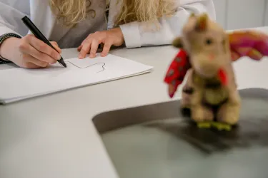 Eine Medizinstudentin malt ein Röntgenbild von einem Kuscheltier.