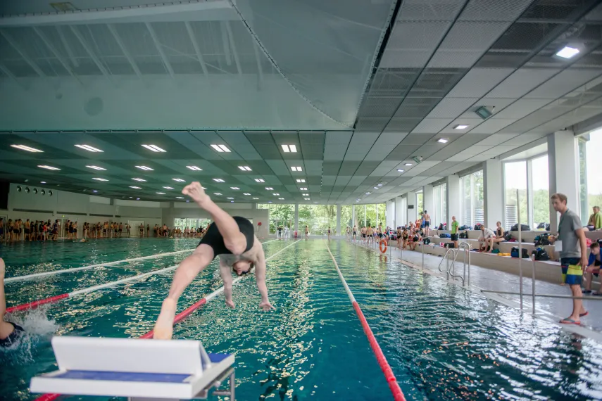 Sportwissenschaft Schwimmen Kopfsprung