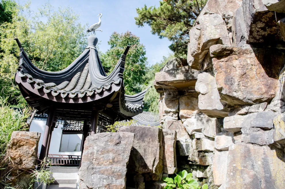 Pavilion in the Chinese Garden