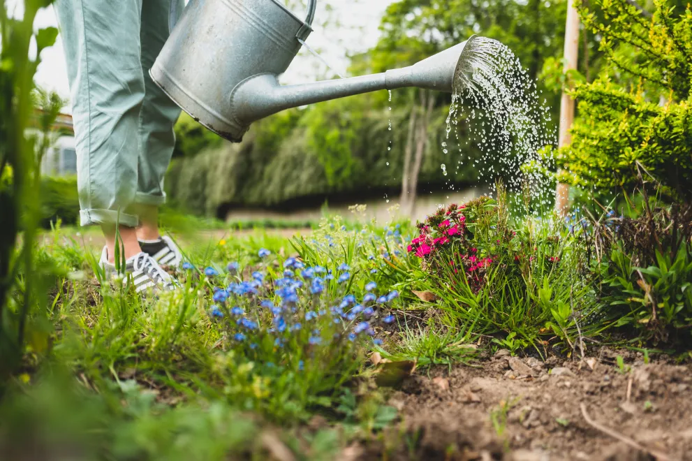 Foto: Es sind zwei Beine zu sehen sowie eine Gießkanne, mit der gerade ein Blumenbeet gegossen wird.