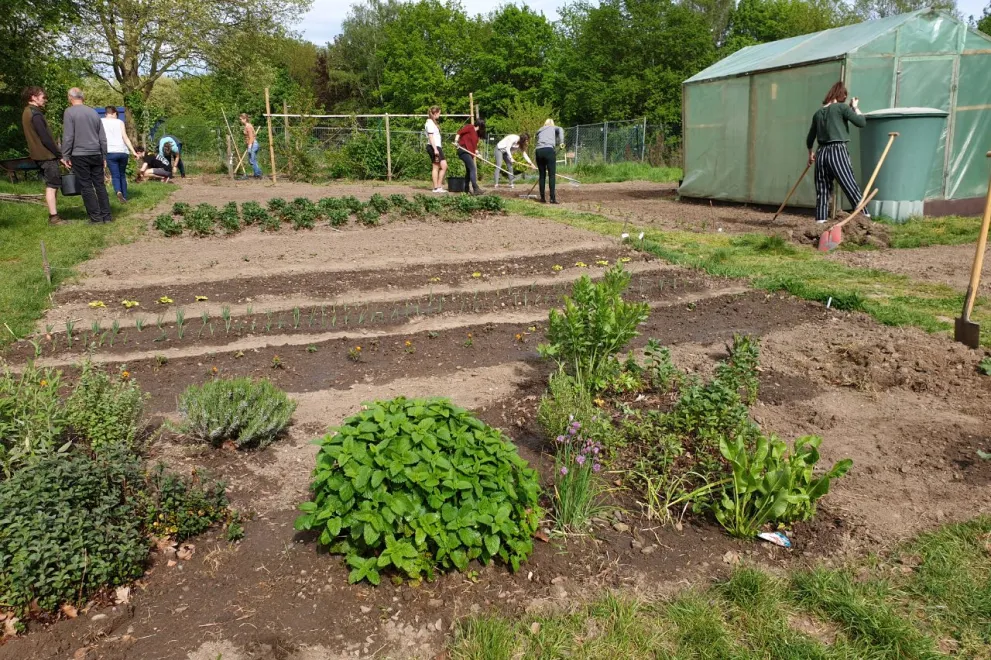 Foto: Gärtnern im Studigarten