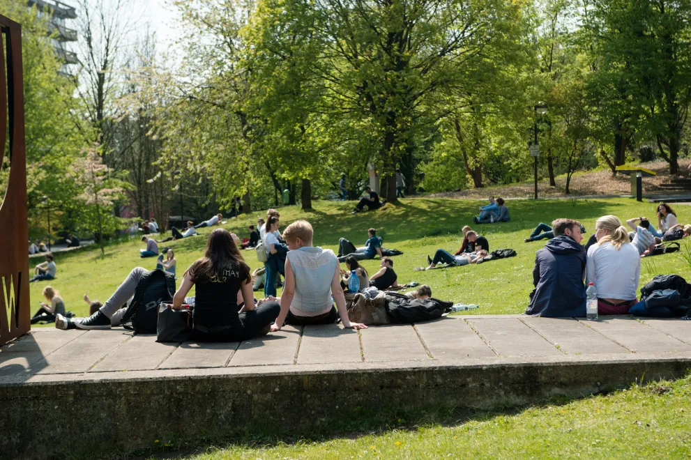 Foto: Studierende sitzen auf einer Wiese und auf Steinen. Man sieht nur die Rücken der Personen.