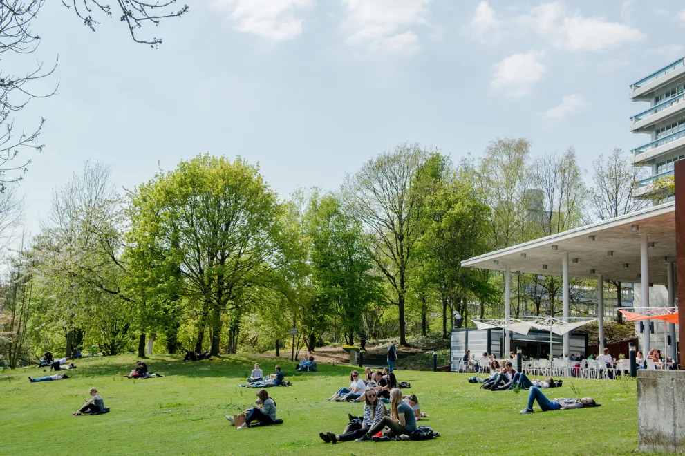 Photo: Meadow on which some people are sitting or lying. Some are talking. There are trees at the far end of the meadow. On the right there is a covered terrace.