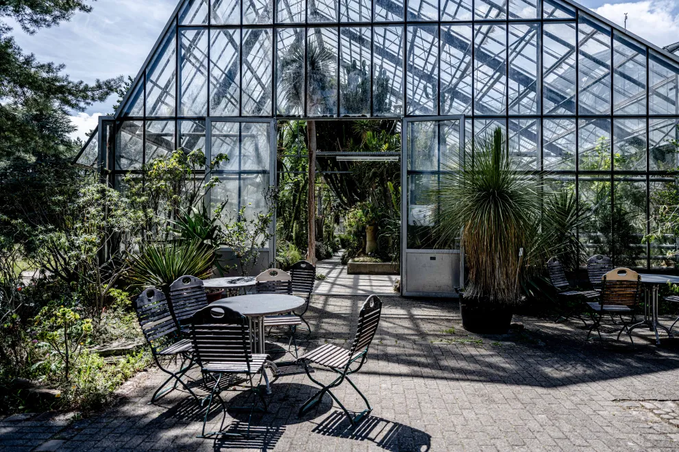 Photo: Very high greenhouse with a seating area in front of it.