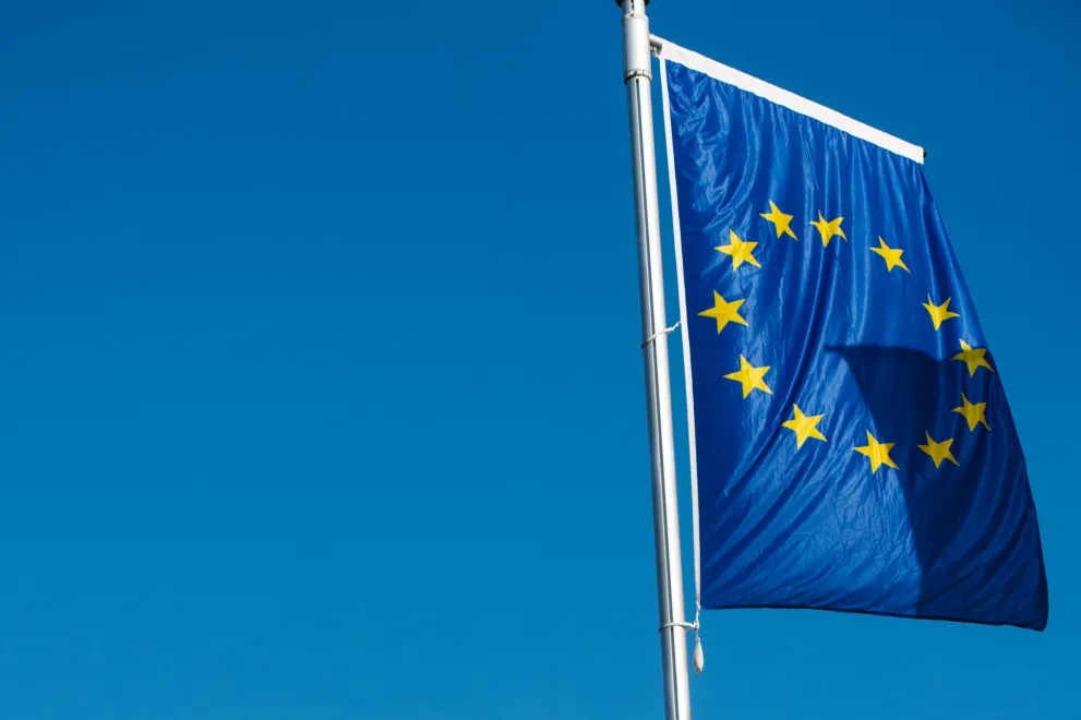Das Foto zeigt eine EZ-Flagge am Fahnenmast