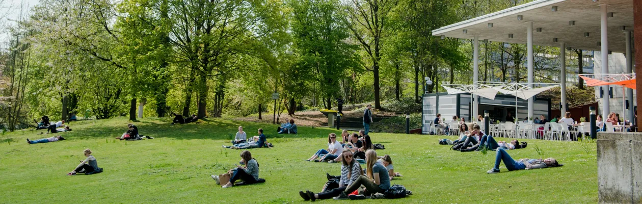 Foto: Studierende sitzen auf einer grünen Wiese im Sonnenschein. Rechts steht ein Gebäude mit Sitzplätzen davor.